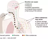 Aerosol particles in e-cigarettes affecting a user's lungs, blood, and brain