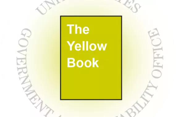 Image of the U.S. GAO Yellow Book