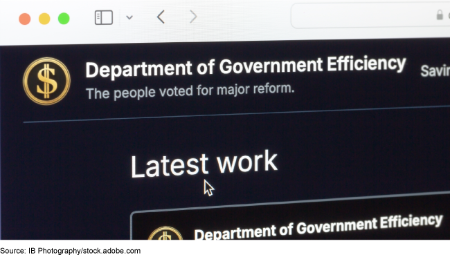 Screenshot of the Department of Government Efficiency's website. Screenshot of the Department of Government Efficiency's website.