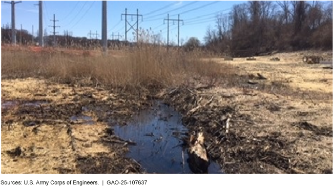 Transmission line project in wetlands with a permit from the U.S. Army Corps of Engineers