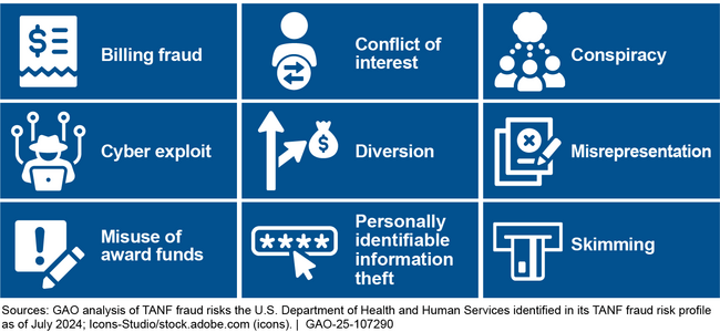 Categories Describing the Temporary Assistance for Needy Families (TANF) Fraud Risks Identified and Assessed by the U.S. Department of Health and Human Services