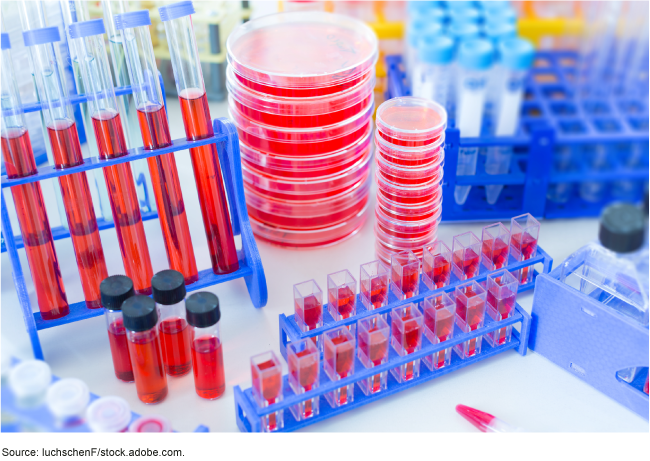 Racks of test tubes, sample vials, and stacks of petri dishes with bright red liquid or gel in them on a white countertop. Racks of test tubes, sample vials, and stacks of petri dishes with bright red liquid or gel in them on a white countertop.