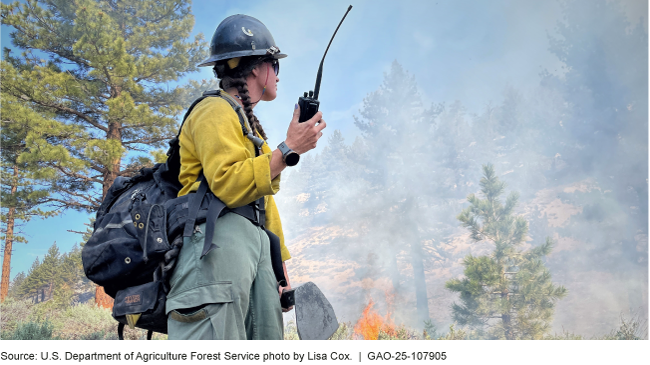 Female firefighter in a helmet and backpack, holding a hand-held radio and standing on a hillside with burning trees.