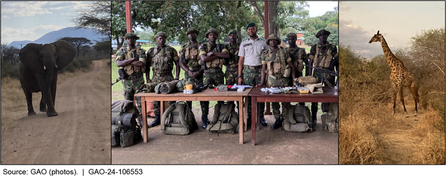 Rangers Work to Protect Wildlife at Parks and Protected Areas Around the World