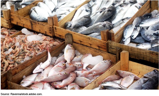 Fishing line Importers List  Fishing line Importers Database