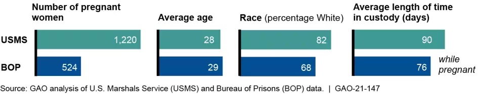 Bar chart showing number and characteristics of pregnant women in DOJ custody.