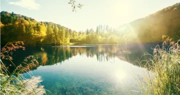 A lake surrounded by trees.