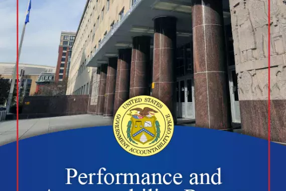 Cover of 2015 Performance and Accountability Report