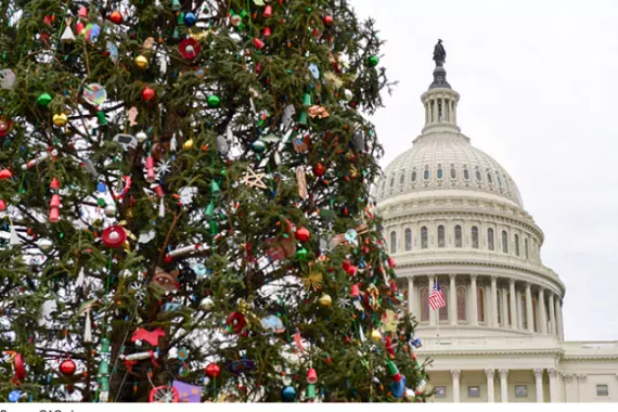 Photo of Christmas tree and U.S. Capitol