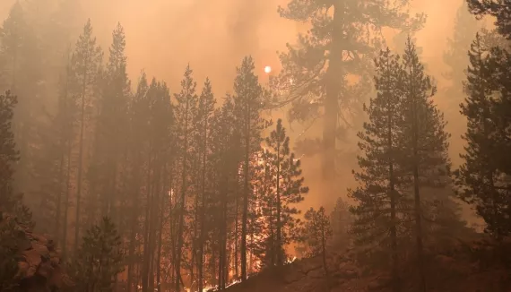 Wildfires Are Deadlier Than Ever - What Can FEMA do?